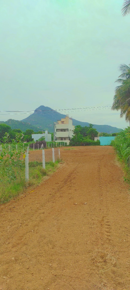  14500 Sq.ft. Residential Plot for Sale in Athiyandal, Tiruvannamalai