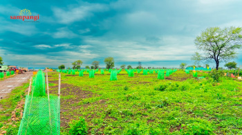  Agricultural Land for Sale in Narayankhed, Sangareddy