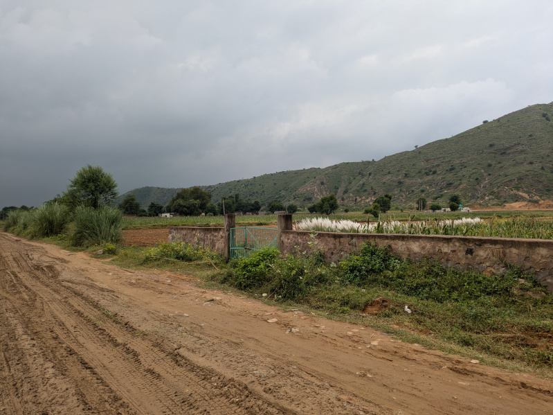  Agricultural Land 14 Bigha for Sale in Naugaon, Alwar