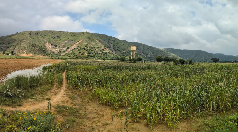  Agricultural Land 14 Bigha for Sale in Naugaon, Alwar