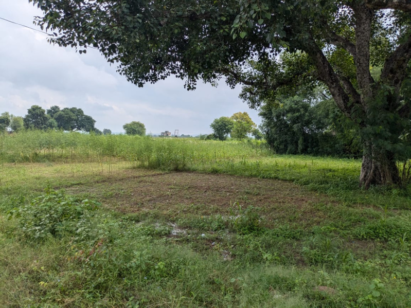  Agricultural Land 4 Bigha for Sale in Naugaon, Alwar