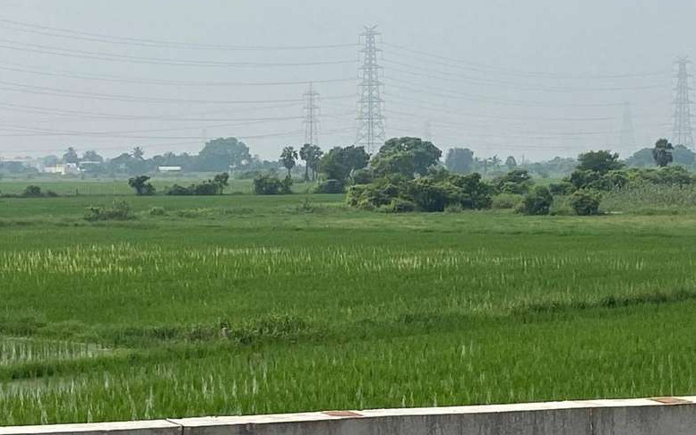  Agricultural Land 243 Cent for Sale in Ponneri, Thiruvallur