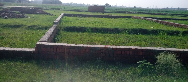  Residential Plot 1000 Sq.ft. for Sale in Motiram Adda, Gorakhpur