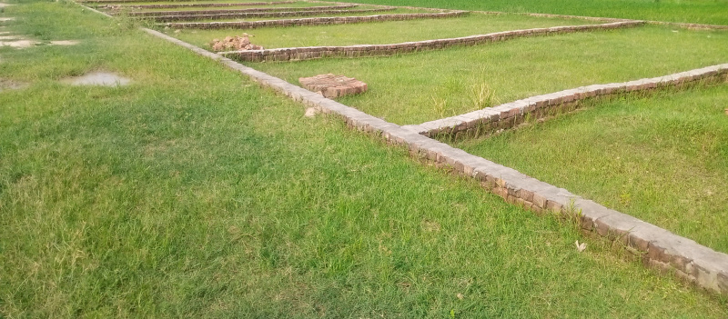  Residential Plot 1000 Sq.ft. for Sale in Motiram Adda, Gorakhpur