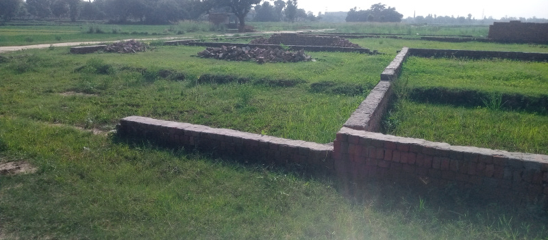  Residential Plot 1000 Sq.ft. for Sale in Motiram Adda, Gorakhpur