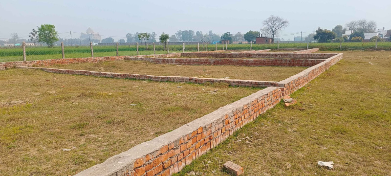  Residential Plot 1000 Sq.ft. for Sale in Siktaur, Gorakhpur