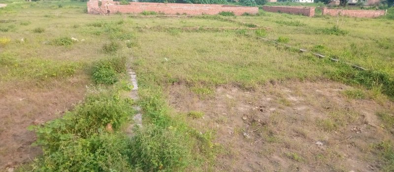  Residential Plot 6500 Sq.ft. for Sale in Motiram Adda, Gorakhpur