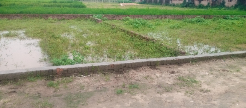  Residential Plot 999 Sq.ft. for Sale in Karjaha, Gorakhpur