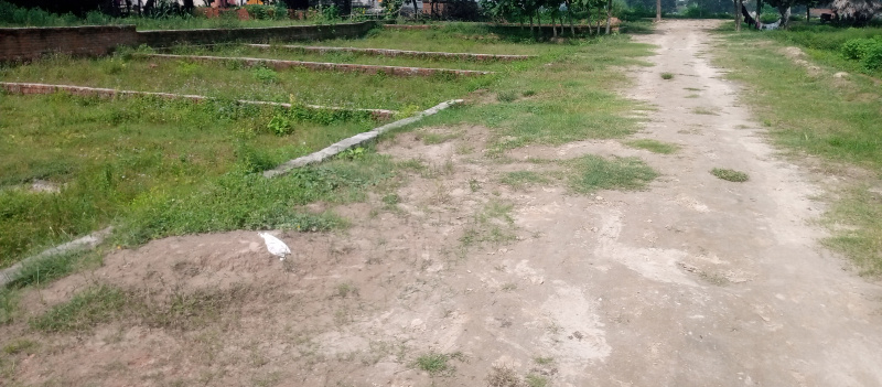  Residential Plot 900 Sq.ft. for Sale in Motiram Adda, Gorakhpur