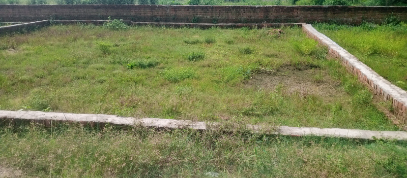  Residential Plot 900 Sq.ft. for Sale in Motiram Adda, Gorakhpur