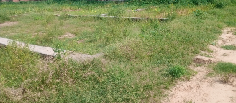  Residential Plot 1150 Sq.ft. for Sale in Karjaha, Gorakhpur