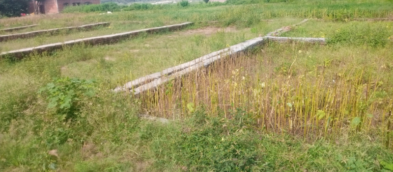  Residential Plot 1150 Sq.ft. for Sale in Karjaha, Gorakhpur