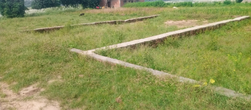  Residential Plot 1150 Sq.ft. for Sale in Karjaha, Gorakhpur