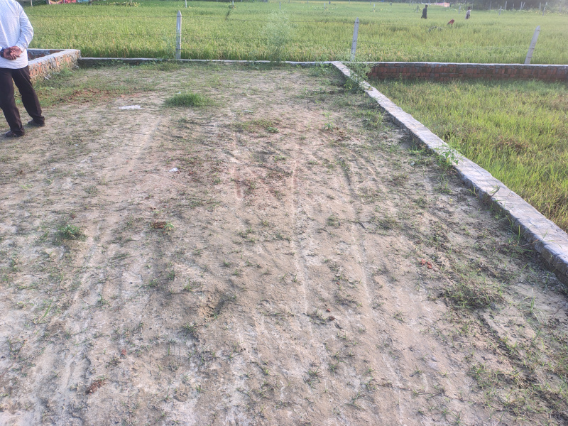  6000 Sq.ft. Commercial Land for Sale in Motiram Adda, Gorakhpur
