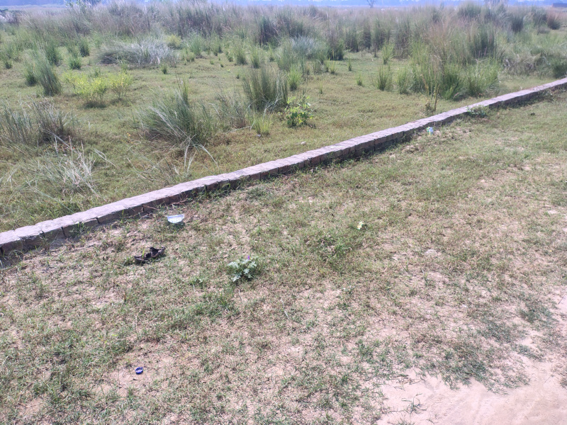  6500 Sq.ft. Commercial Land for Sale in Motiram Adda, Gorakhpur