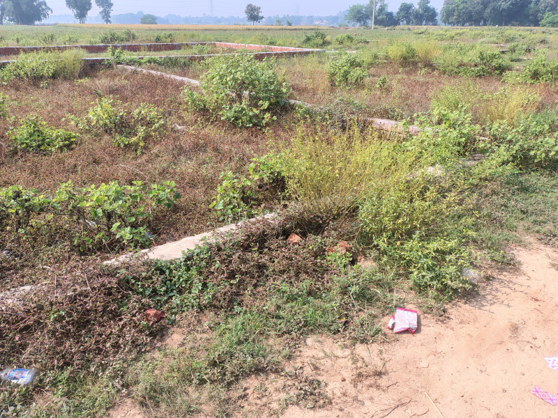  1200 Sq.ft. Residential Plot for Sale in Siktaur, Gorakhpur