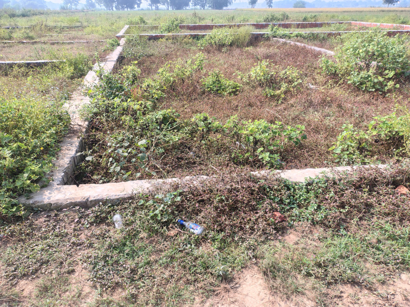  1200 Sq.ft. Residential Plot for Sale in Siktaur, Gorakhpur