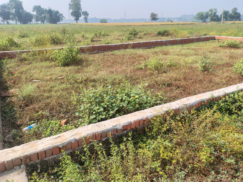  1200 Sq.ft. Residential Plot for Sale in Siktaur, Gorakhpur