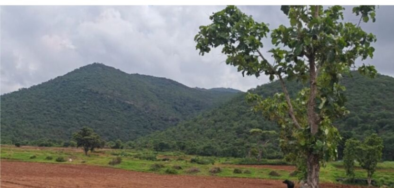  Agricultural Land 10 Guntha for Sale in Doddaballapur, Bangalore