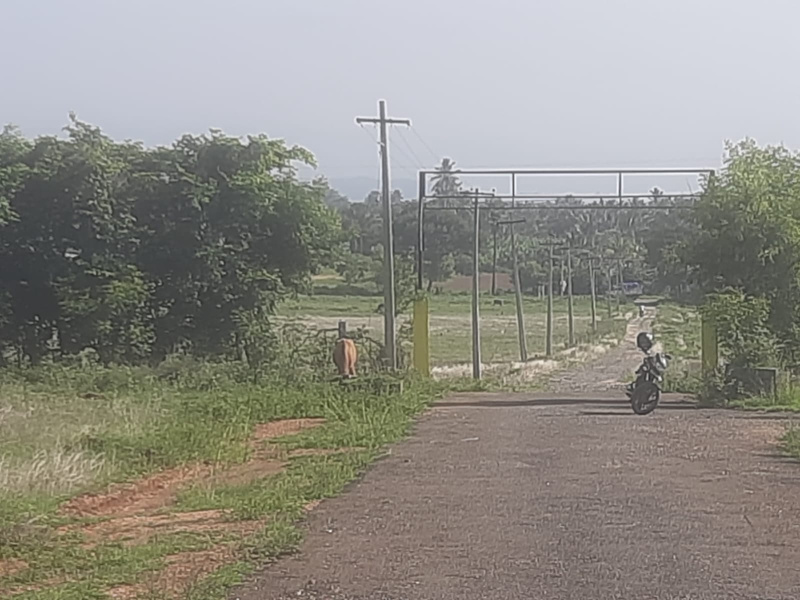  4 Cent Residential Plot for Sale in Annur, Coimbatore