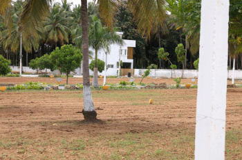  Residential Plot for Sale in Kaggalipura, Bangalore