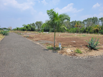  Residential Plot for Sale in Akkalkot, Solapur