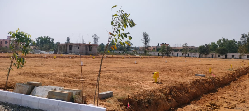  Residential Plot 1200 Sq.ft. for Sale in Hoskote, Bangalore