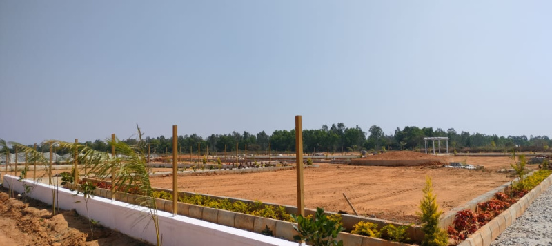  Residential Plot 1200 Sq.ft. for Sale in Hoskote, Bangalore