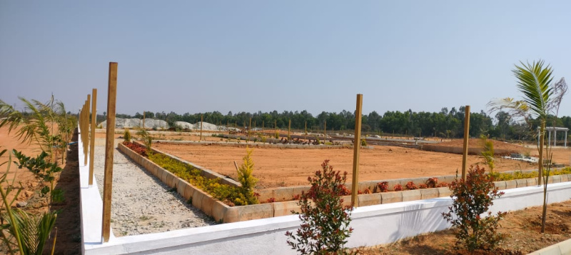  Residential Plot 1200 Sq.ft. for Sale in Hoskote, Bangalore