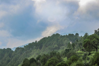  Residential Plot for Sale in Kasauli, Solan