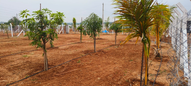  605 Sq. Yards Residential Plot for Sale in Keesara, Hyderabad