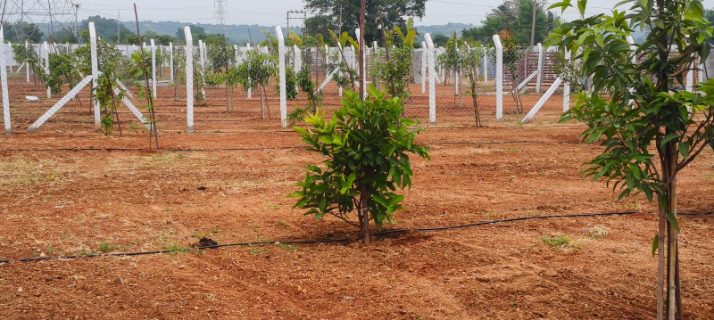  605 Sq. Yards Residential Plot for Sale in Keesara, Hyderabad