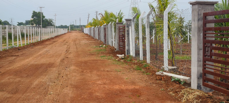  605 Sq. Yards Residential Plot for Sale in Shamirpet, Hyderabad