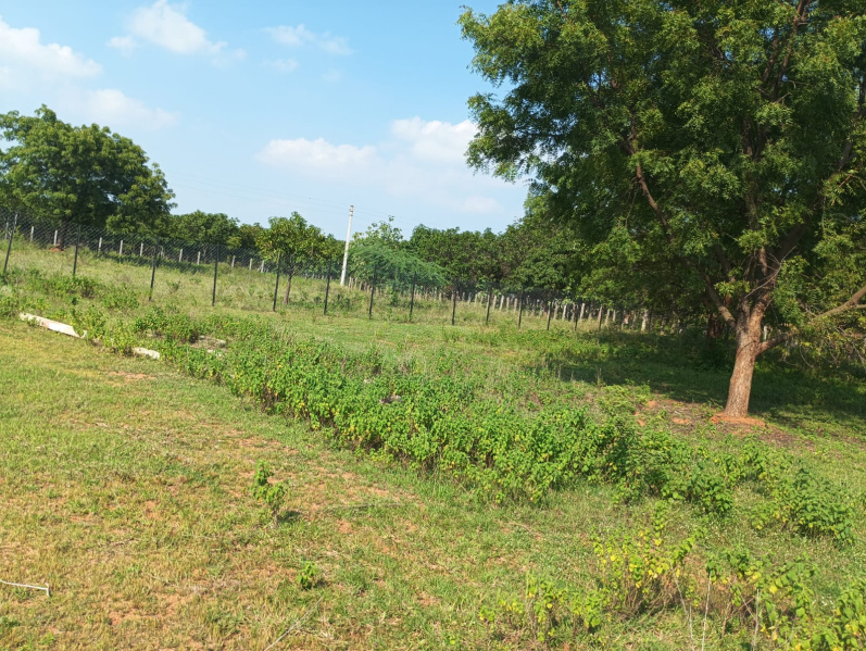  1210 Sq. Yards Residential Plot for Sale in Keesara, Hyderabad