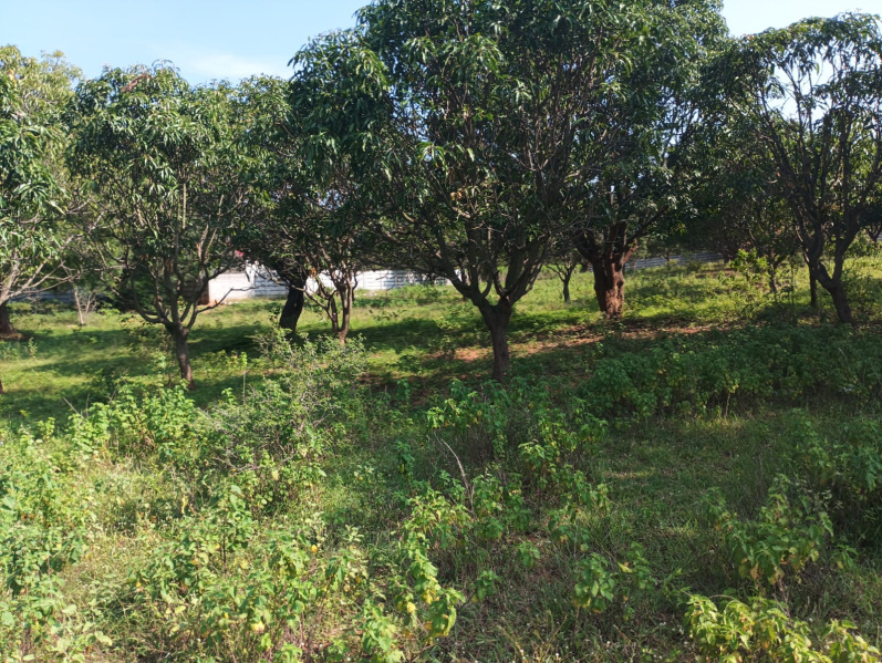  1210 Sq. Yards Residential Plot for Sale in Keesara, Hyderabad