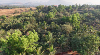  Residential Plot for Sale in Trimbakeshwar, Nashik