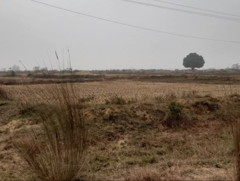  600 Acre Industrial Land for Sale in Bundu, Ranchi