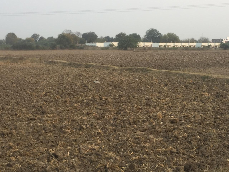  500 Acre Industrial Land for Sale in Baharagora, Purbi Singhbhum