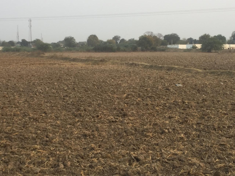  1000 Acre Industrial Land for Sale in Baharagora, Purbi Singhbhum