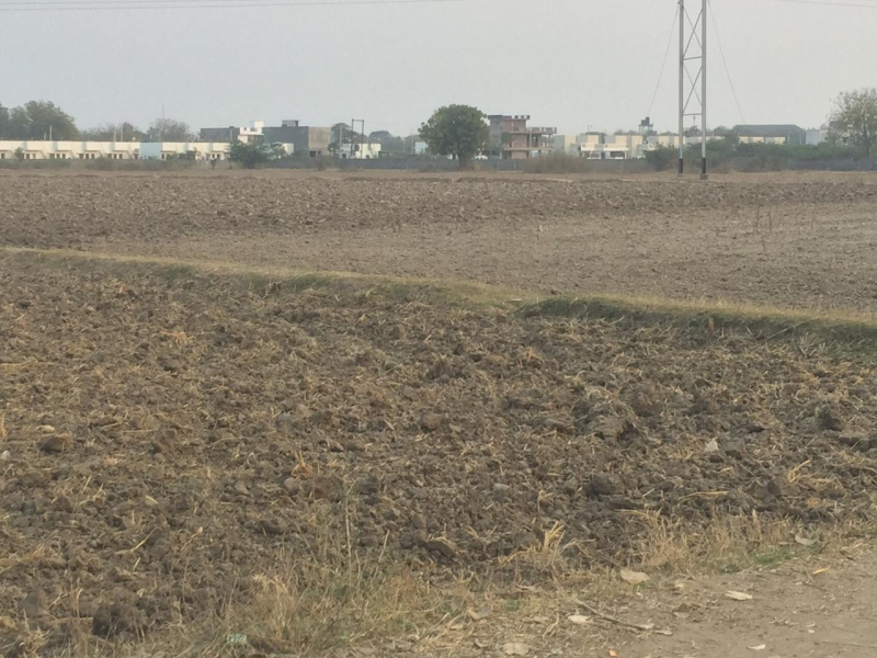  118 Dismil Residential Plot for Sale in Purisili, Seraikela Kharsawan