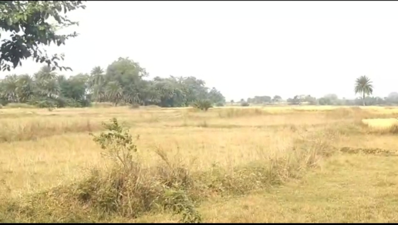  50 Acre Commercial Land for Sale in Potka, Jamshedpur