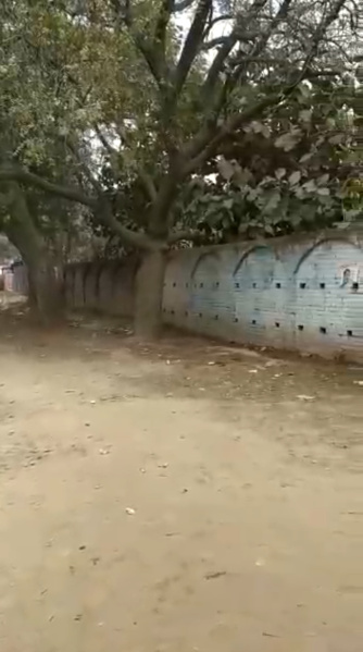  140000 Sq.ft. Agricultural/Farm Land for Sale in Junab Ganj, Lucknow