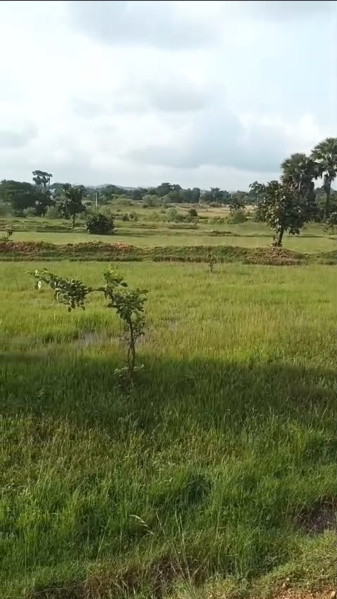  475 Acre Factory for Sale in Chandankiyari, Bokaro