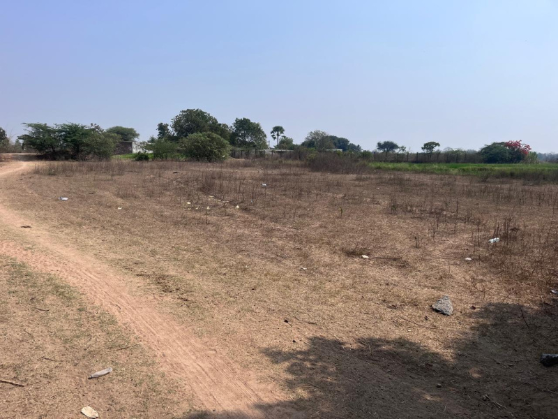  Agricultural Land 38115 Sq.ft. for Sale in Dharmasagar, Warangal