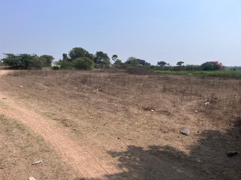  Agricultural Land 38115 Sq.ft. for Sale in Dharmasagar, Warangal