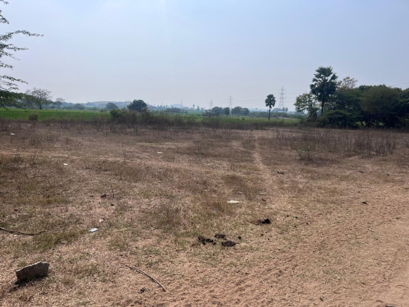  Agricultural Land 38115 Sq.ft. for Sale in Dharmasagar, Warangal