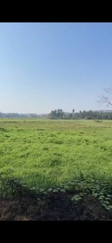  Residential Plot for Sale in Cunchelim, Mapusa, Goa