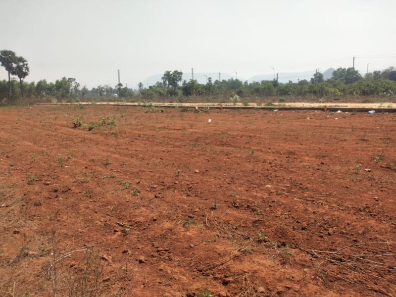  Commercial Land 200 Sq. Yards for Sale in Sabbavaram, Visakhapatnam