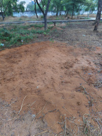  Agricultural Land for Sale in Madhugiri, Tumkur