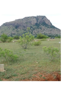  Residential Plot for Sale in Madhugiri, Tumkur